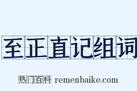 至正直记组词是什么意思的图片